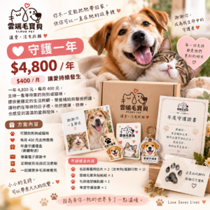 ❤️ 守護一年｜$4,800／年