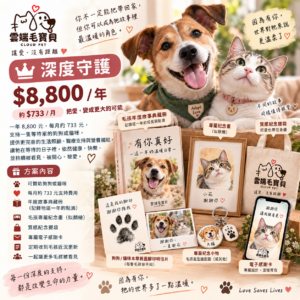 深度守護方案 8800元/年